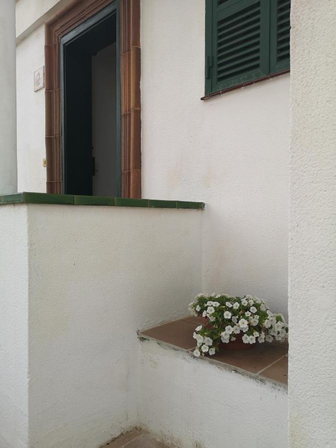 Toni'S Apartament Menorca カラン・ボッシュ エクステリア 写真